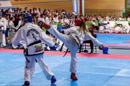 Всероссийский турнир «Кубок Черноморского побережья»